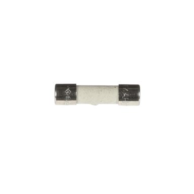 4 Amp Fine Fuse ZSE