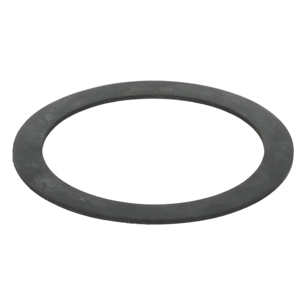 Drain seal